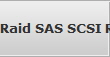 Raid SAS SCSI Recovery