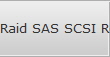 Raid SAS SCSI Recovery